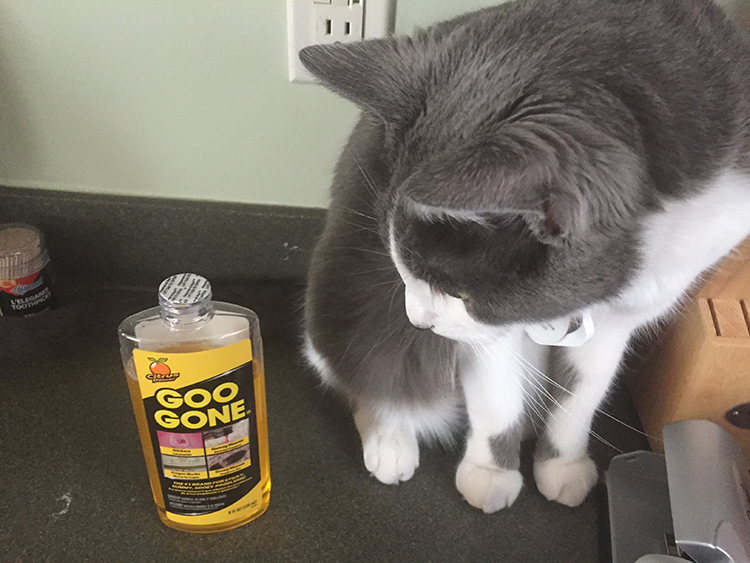 Don't let the cat lick the Goo Gone.